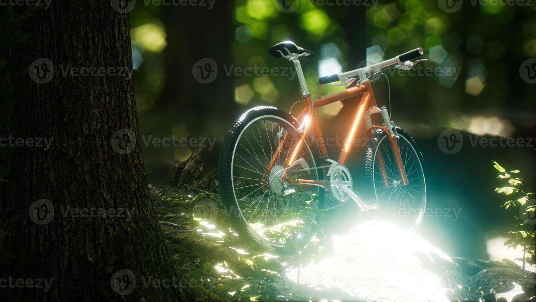 Mountain bike on the forest path photo