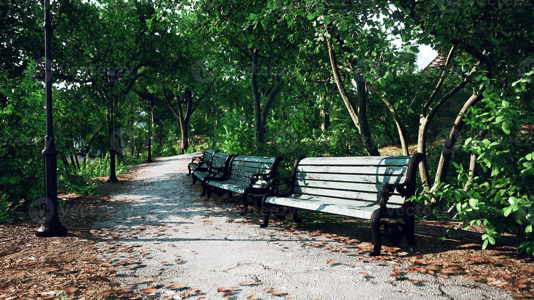 Empty closed park as prevention from coronavirus Covid-19 disease photo