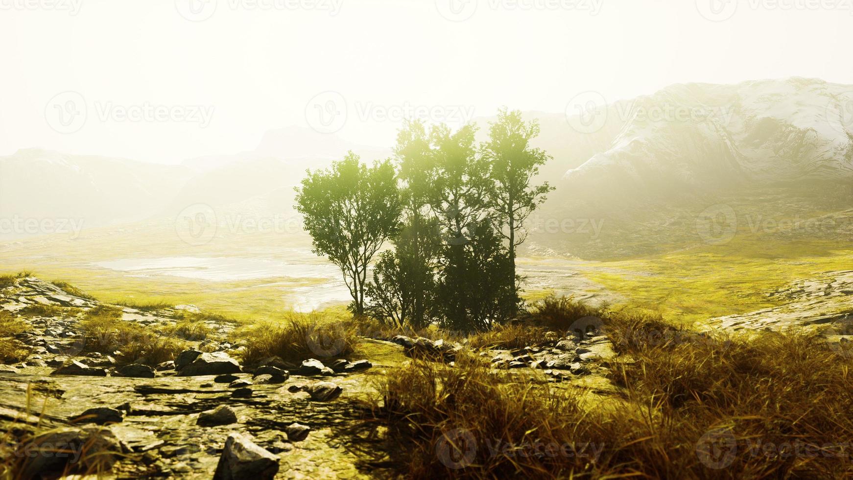 Scenic landscape with steep cliffs and trees during a sunny day photo