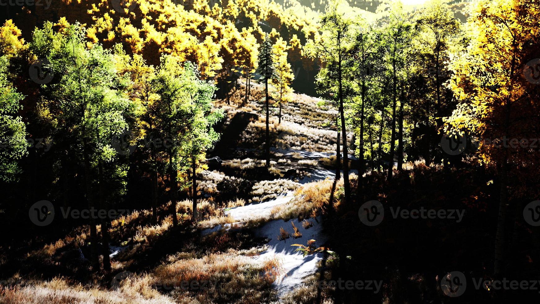 Valley with autumn trees among the mountains lit by the sun at sunset photo