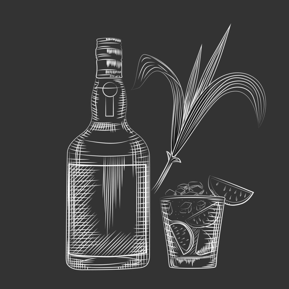 Hand draw cane leaves on black chalkboard background. vector