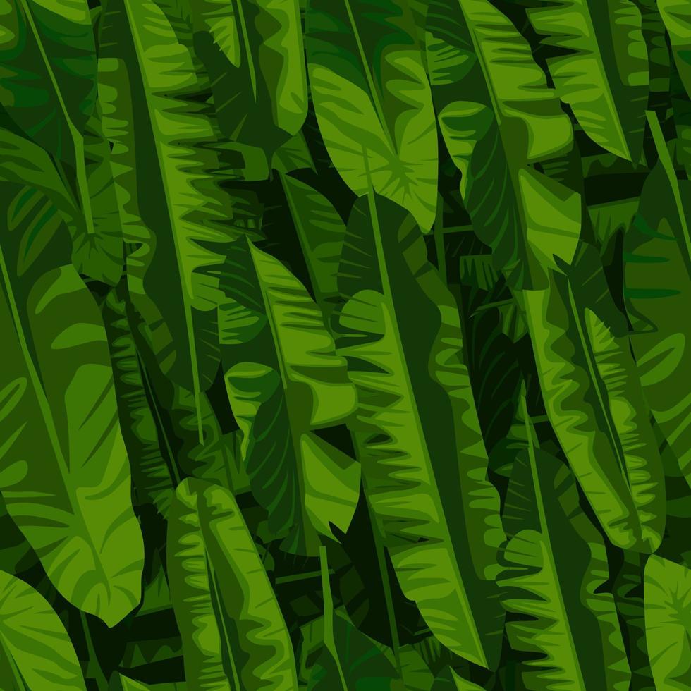 fondo de pantalla de hoja de plátano. Resumen de patrones sin fisuras de plantas exóticas. vector