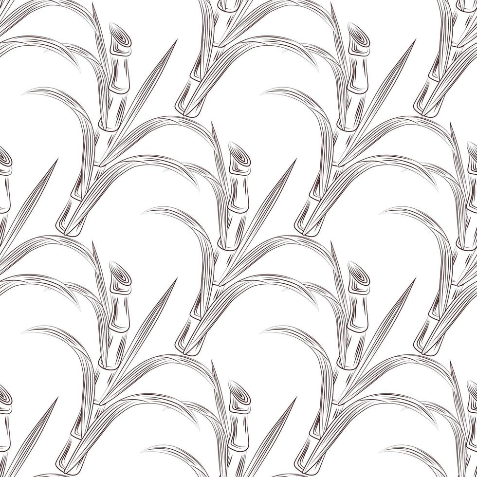 Cultivate sugar cane stalks with leaves seamless pattern. vector