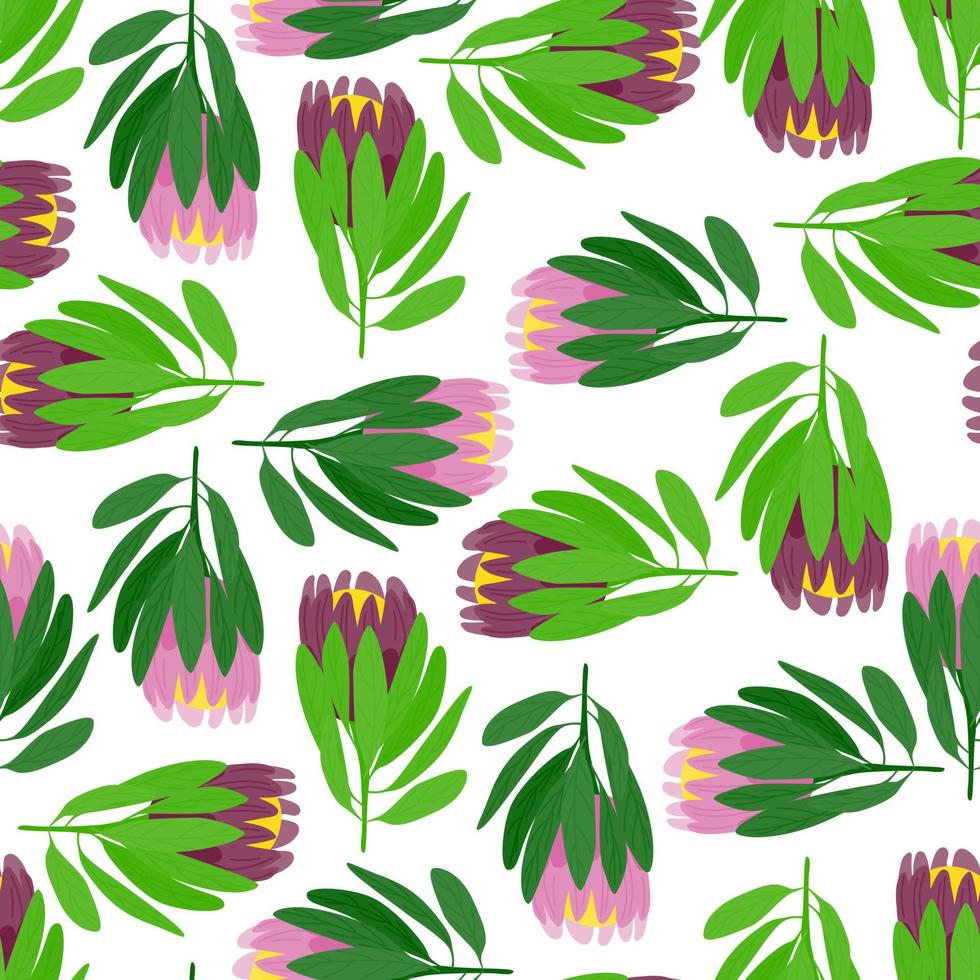 patrón inconsútil aislado con hojas verdes y formas de flores de protea rosa. estampado floral al azar. estilo garabato. vector