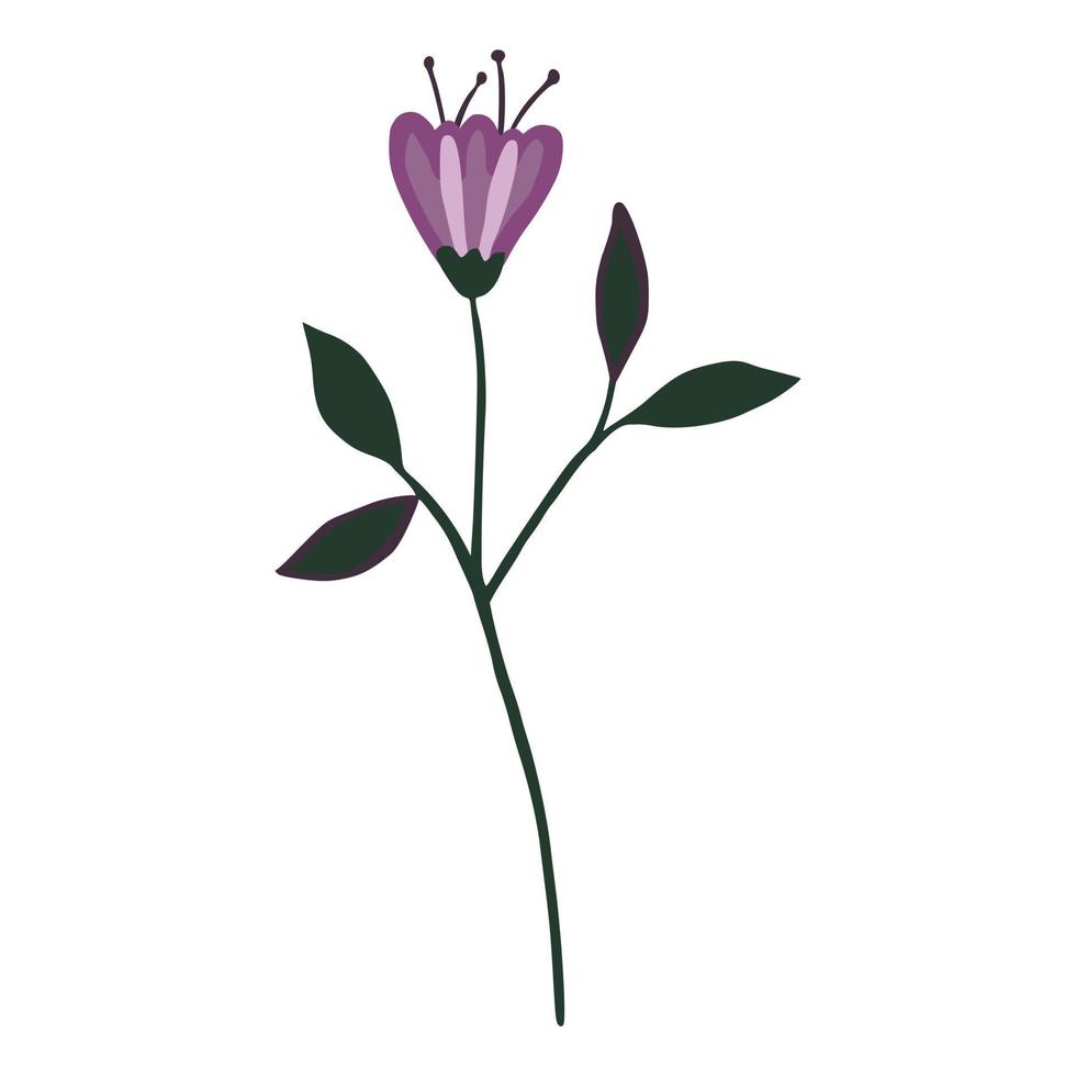 flor de garabato aislada. impresión botánica dibujada a mano vector