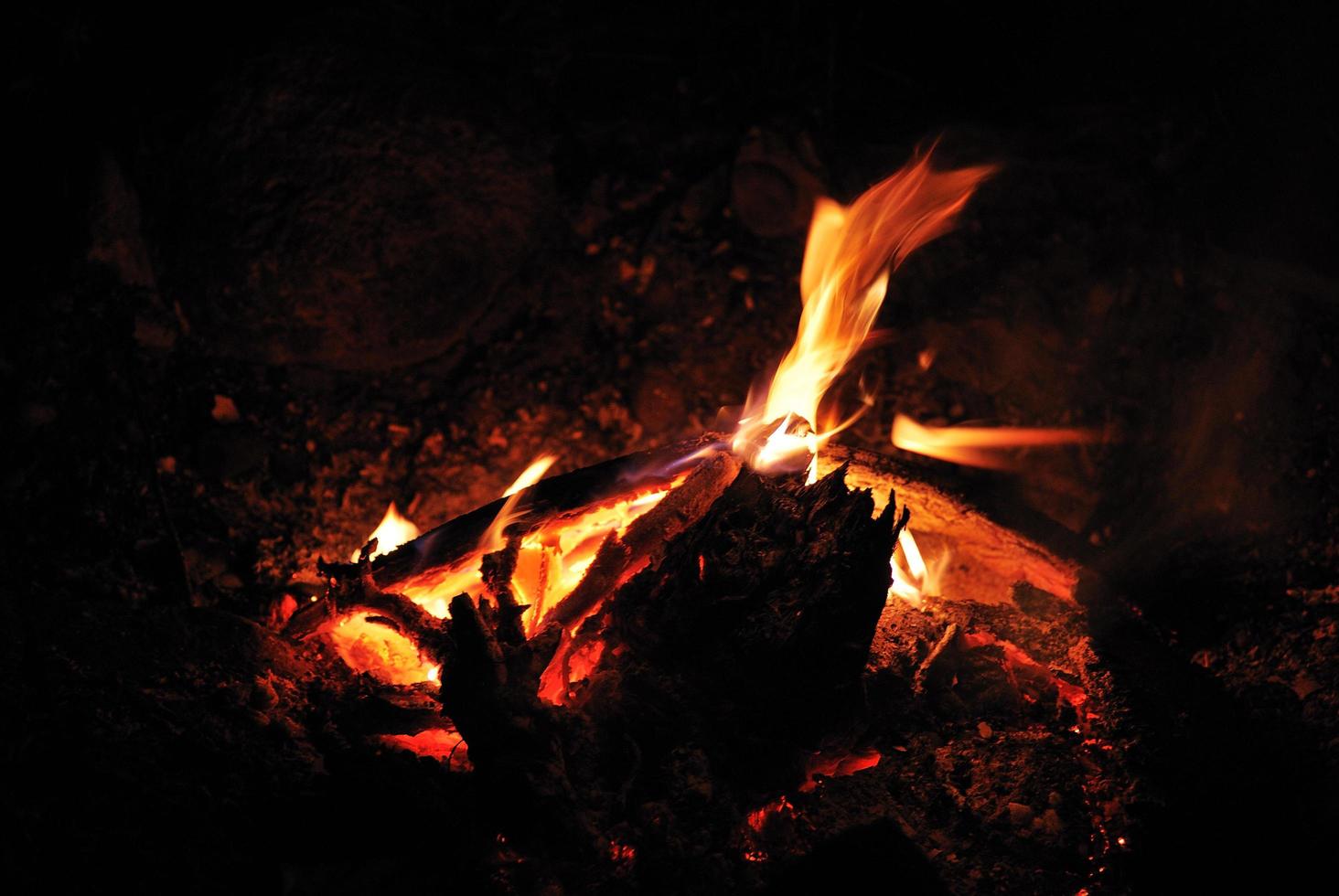 ampfire and camping photo