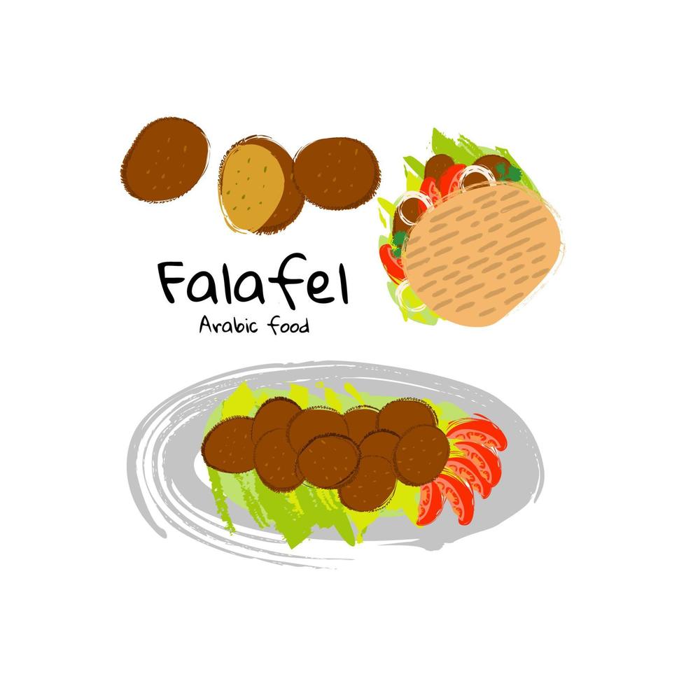 ilustración vectorial comida tradicional árabe y judía falafel, falafel en pita. vector