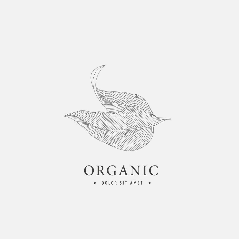 Vector leaves linear logo, naturem eco m organic concept. Abstract emblem, design logotype element for template