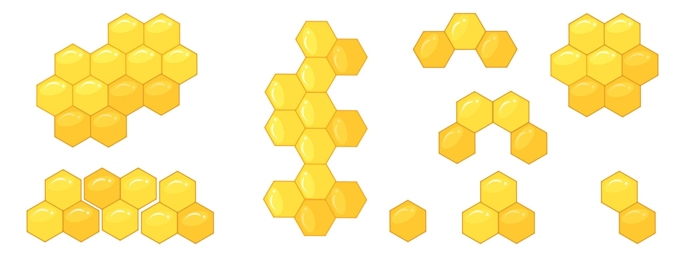 Bee honeycomb, a set of patterns from hexagons. vector