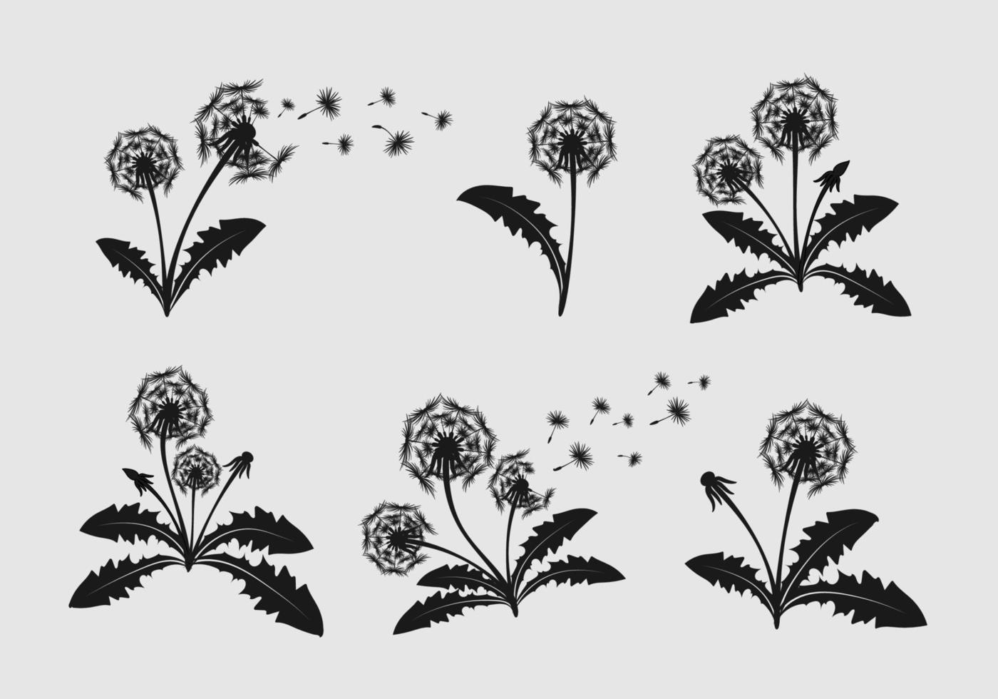 Set of hand drawn dandelion flowers vector
