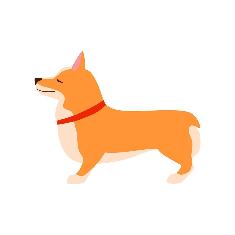 Happy cute dog. Welsh Corgi. puppy sits Flat illustration. vector