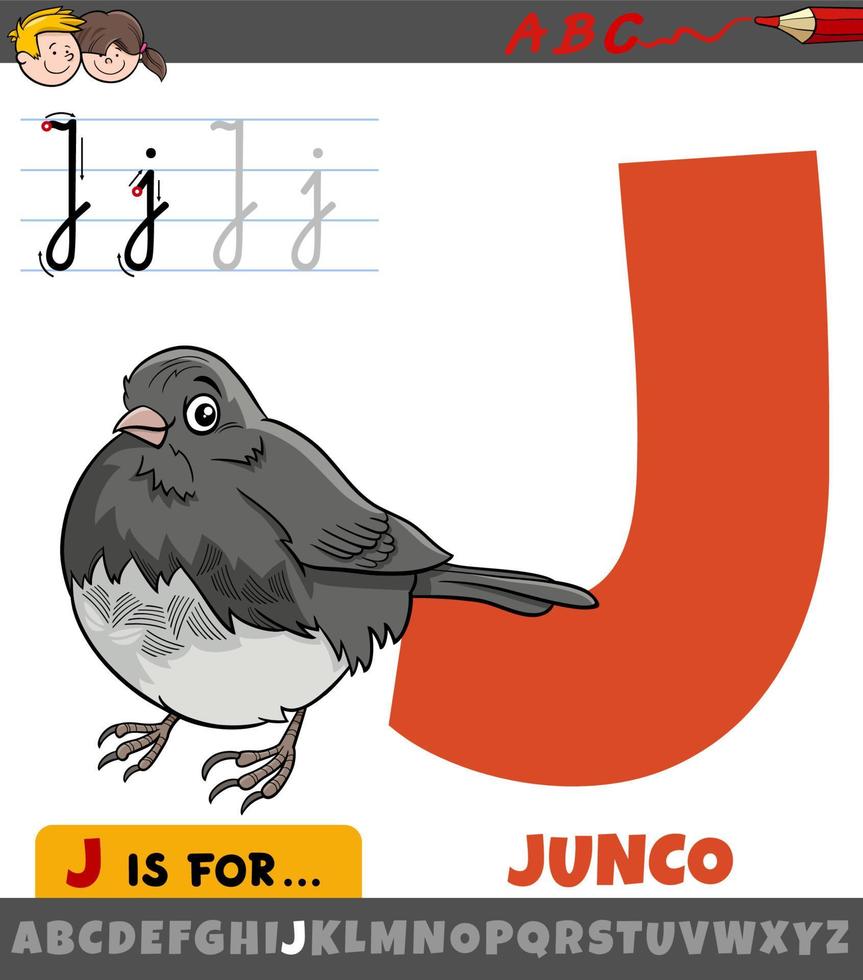 letra j del alfabeto con dibujos animados de carácter animal de pájaro junco vector