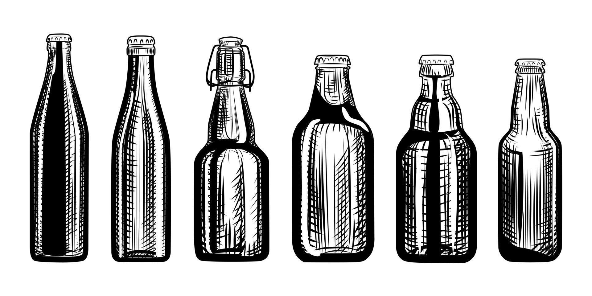 Set of beer bottles. Engraving style. Hand drawn vector