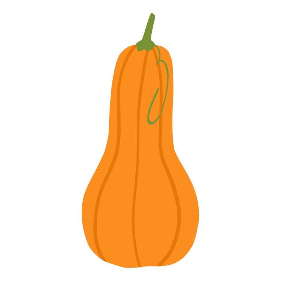 icono de calabaza de dibujos animados vector