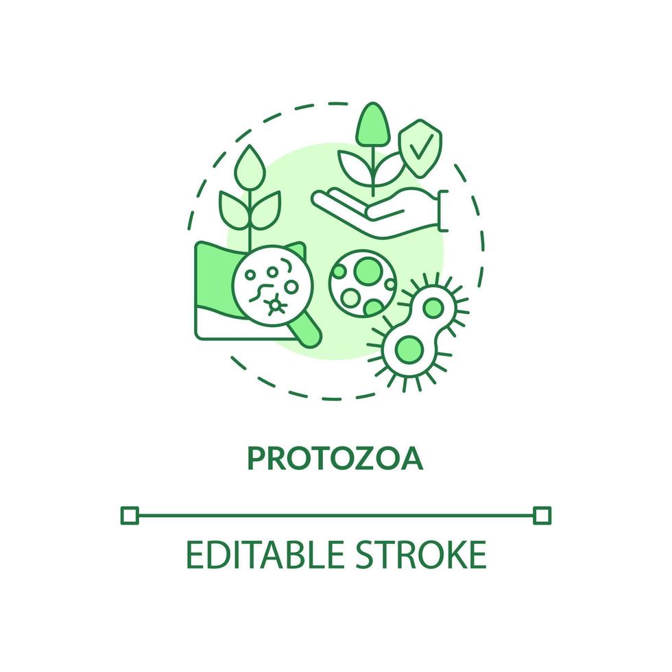 Protozoa green concept icon. Agricultural microbiology abstract idea thin line illustration. Soil organisms. Isolated outline drawing. Editable stroke. Roboto-Medium, Myriad Pro-Bold fonts used vector