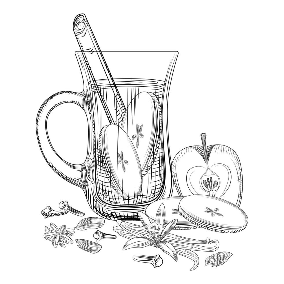 Hand drawn apples mulled wine. Mulled wine glass, apple, cinnamon sticks, cloves, vanilla, anise, cardamom. vector