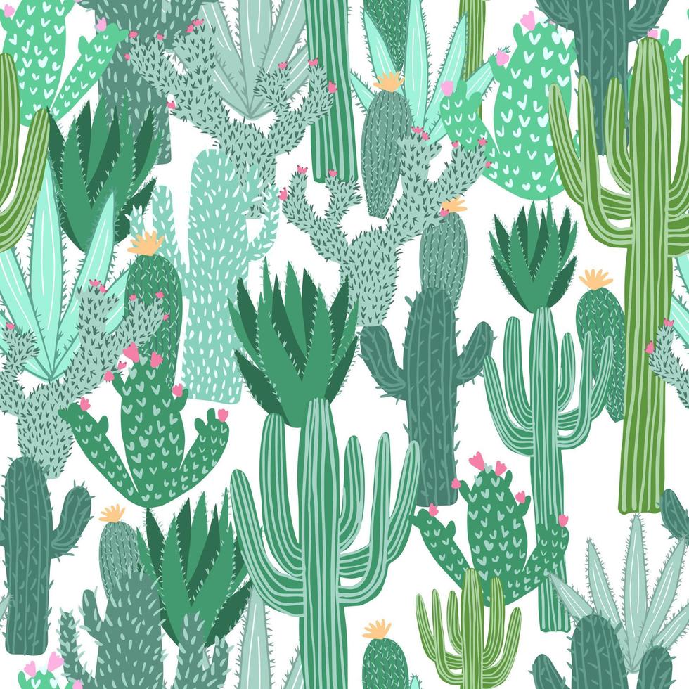 Cactus seamless pattern on white background. Doodle exotic wallpaper. vector