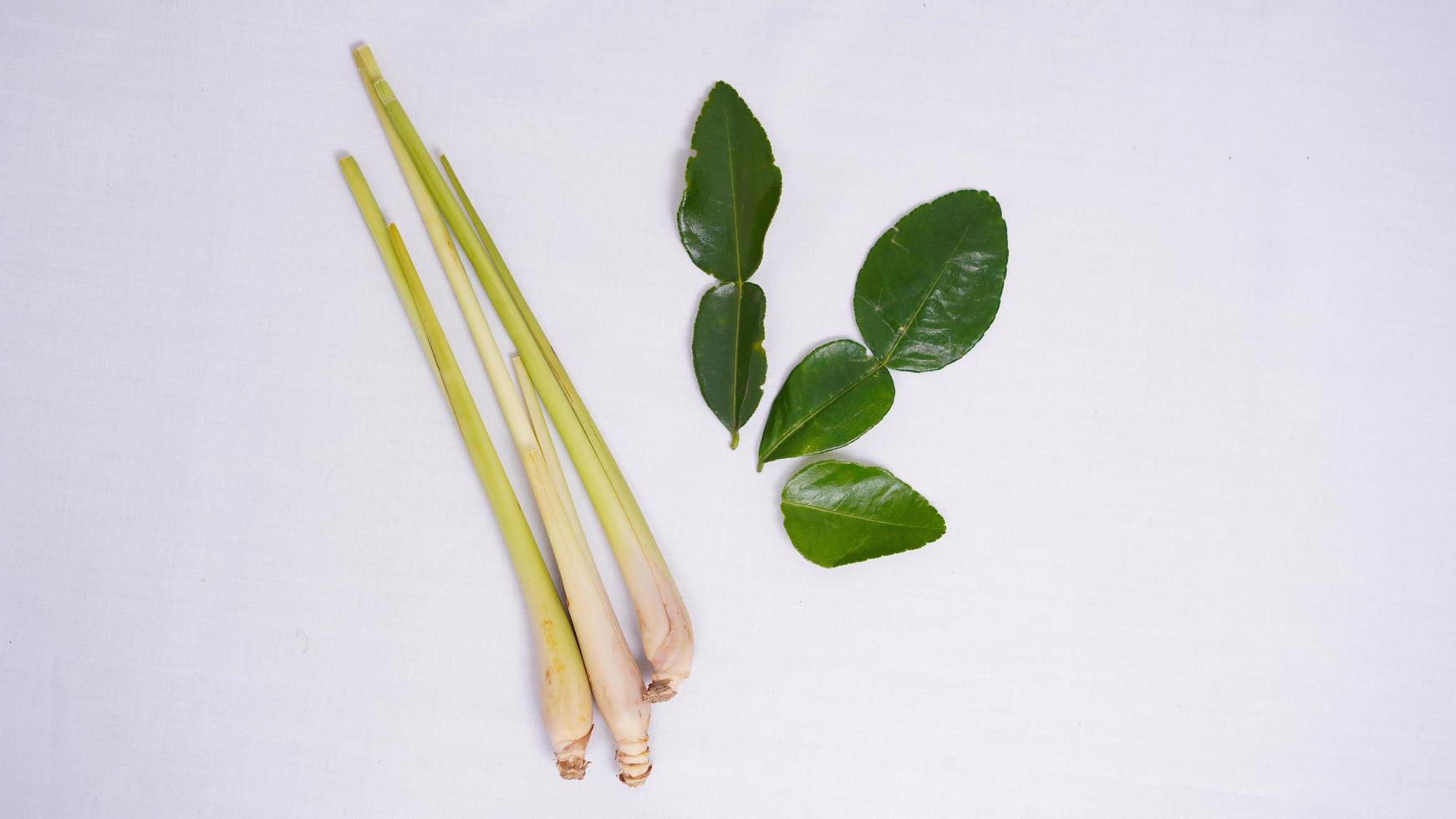 Especias variadas hierba de limón y hoja de laurel aislado sobre un fondo blanco. foto