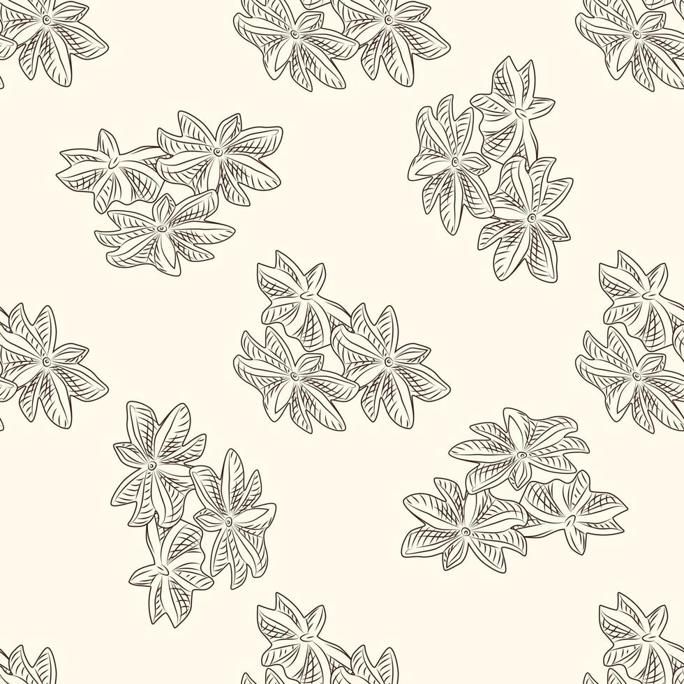 Hand drawn dry anise seamless pattern. Engraved style. vector