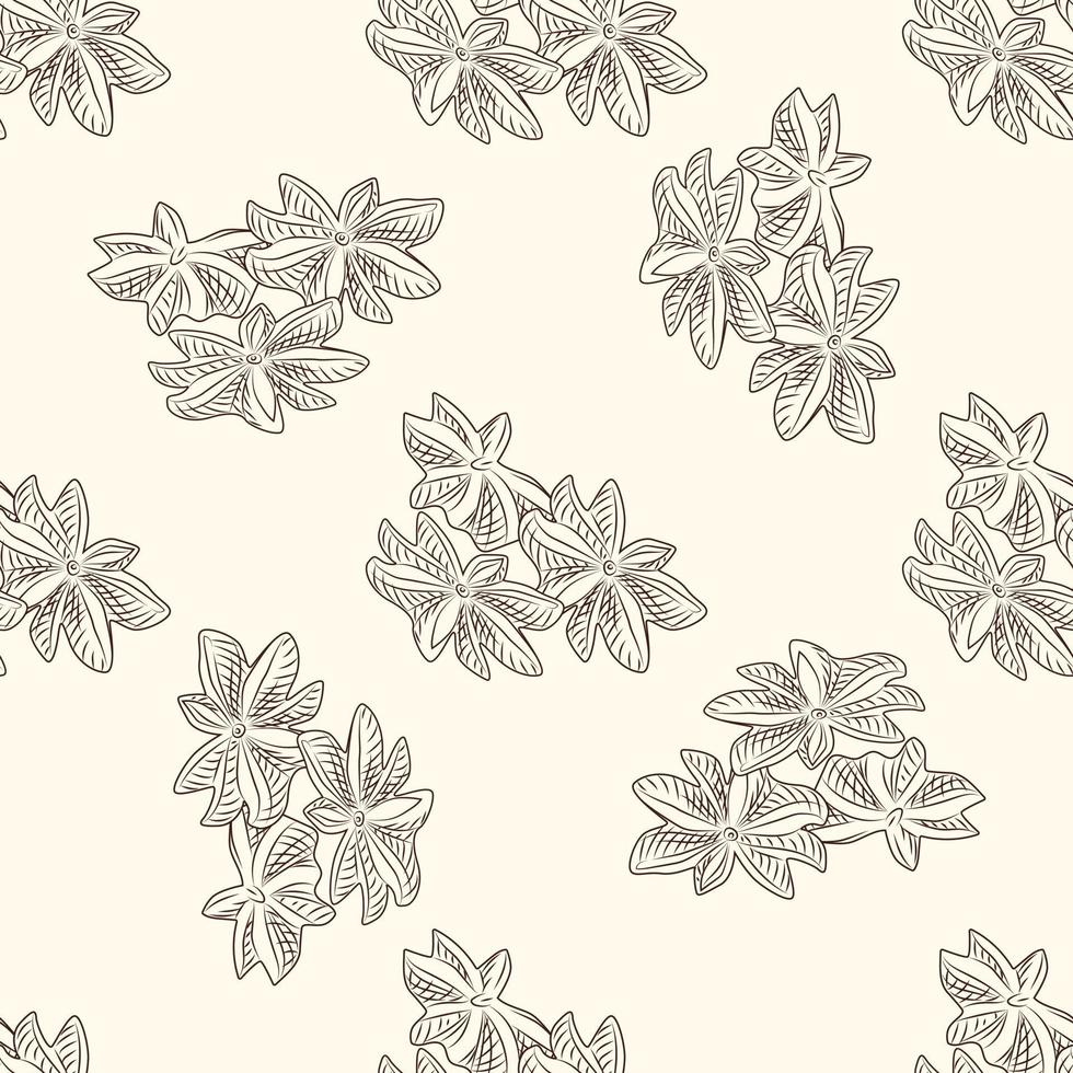 Hand drawn dry anise seamless pattern. Engraved style. vector