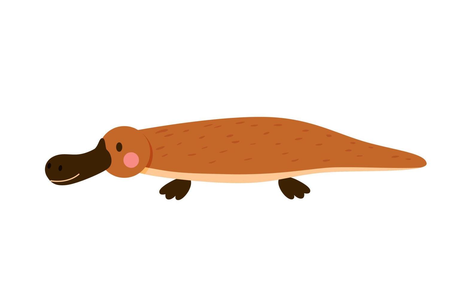 Cute little platypus isolated on white background. Vector illustration