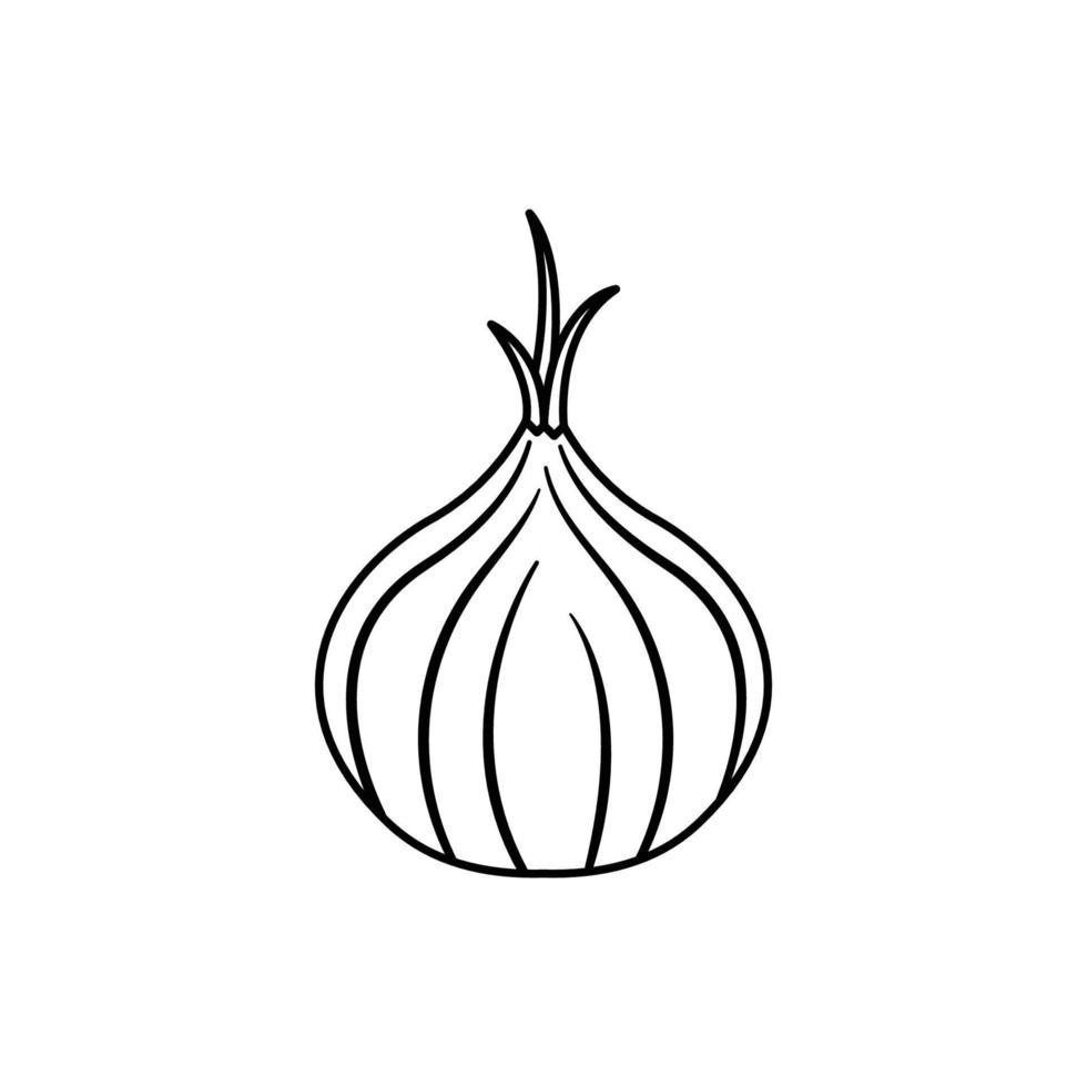 icono blanco y negro de cebolla en estilo de contorno sobre un fondo blanco adecuado para cocinar, especias, icono de ingrediente. aislado vector