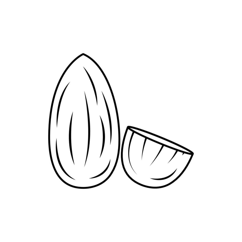 icono de almendra en blanco y negro con estilo de esquema en un fondo blanco adecuado para logotipo, semilla, icono de nuez. aislado vector