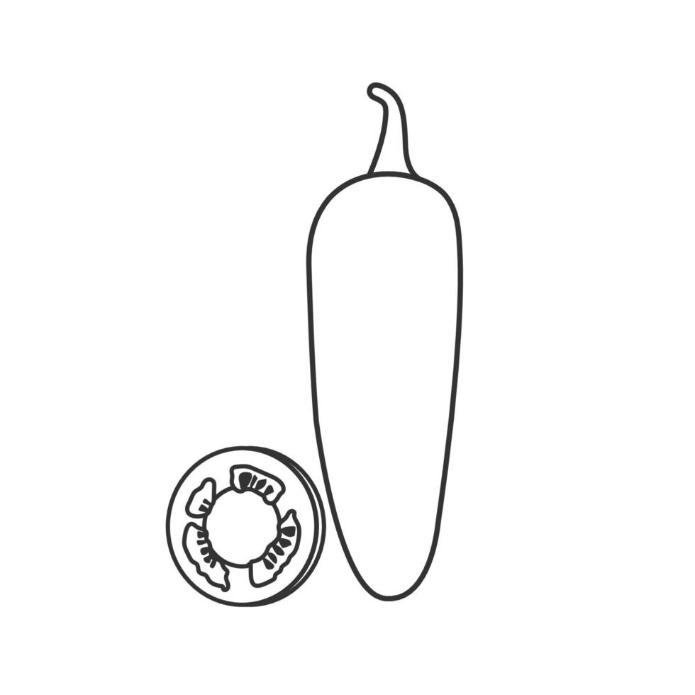 icono de contorno de jalapeño sobre fondo blanco vector