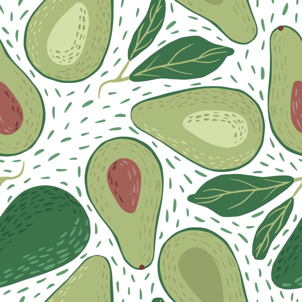 Seamless pattern avocado on white with dashes background. Tropical hand drawn vegetable for design fabric. vector