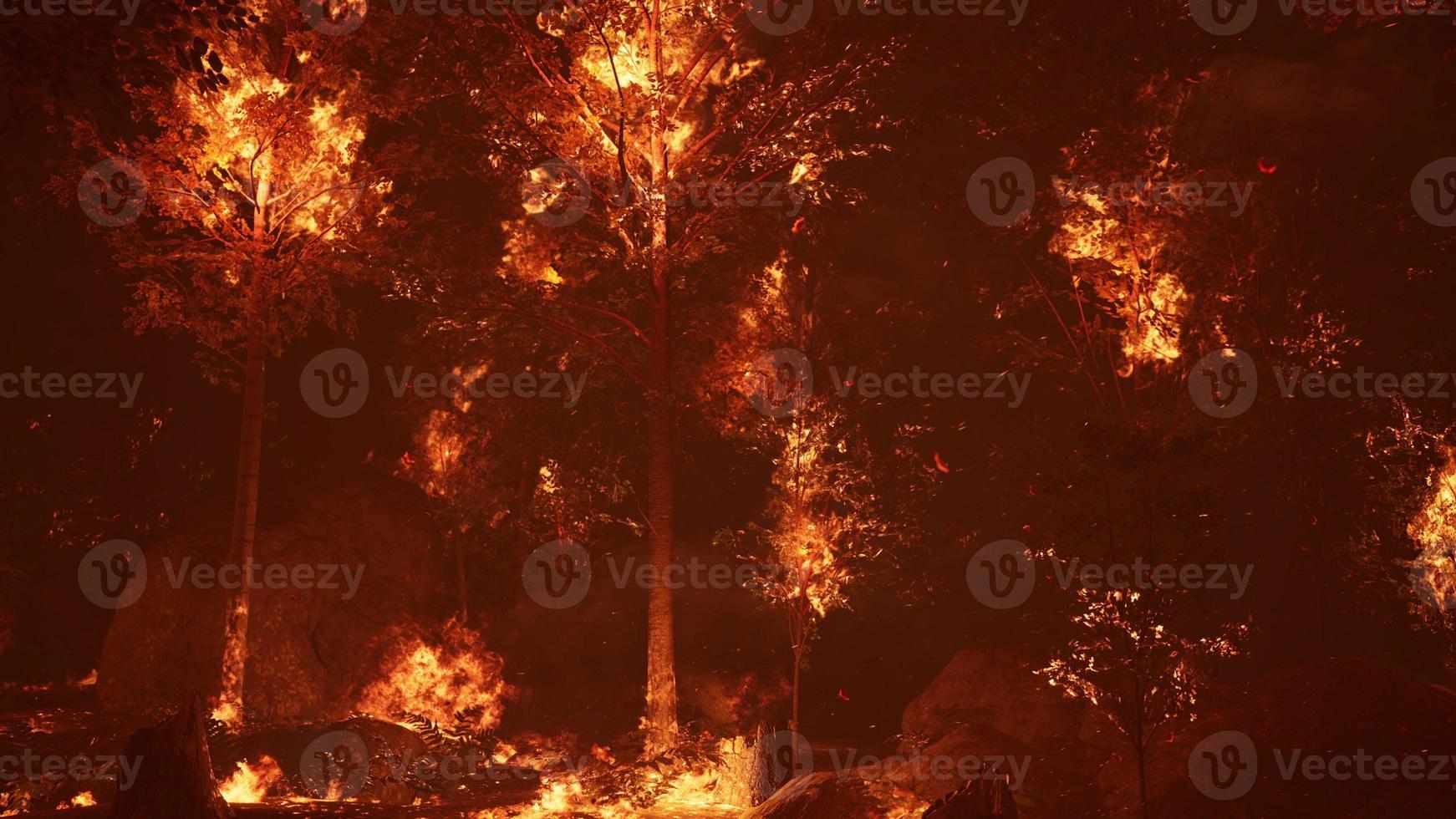 grandes llamas de incendio forestal foto