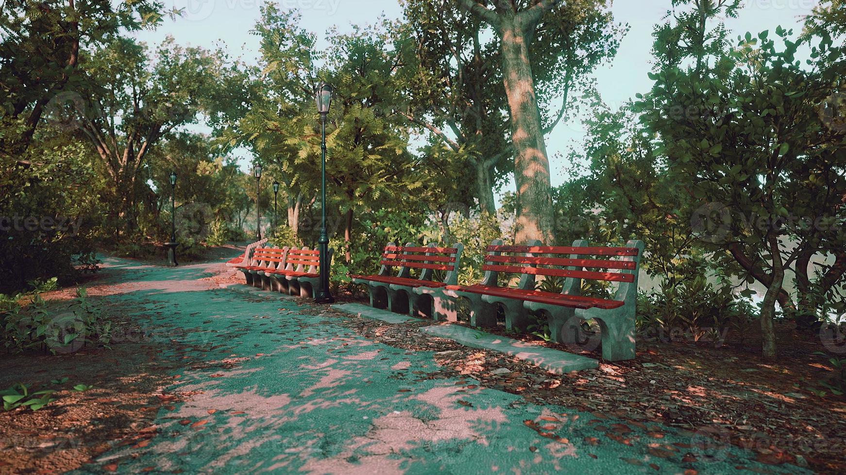 Pathways and Benches are Empty in Park During Covid-19 Pandemic photo