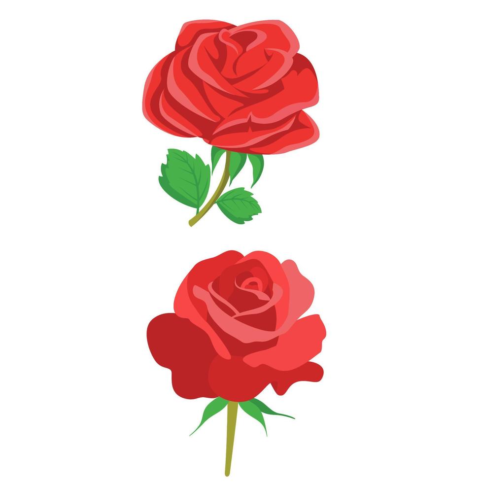 Rose Flowers set Vector clipart Design