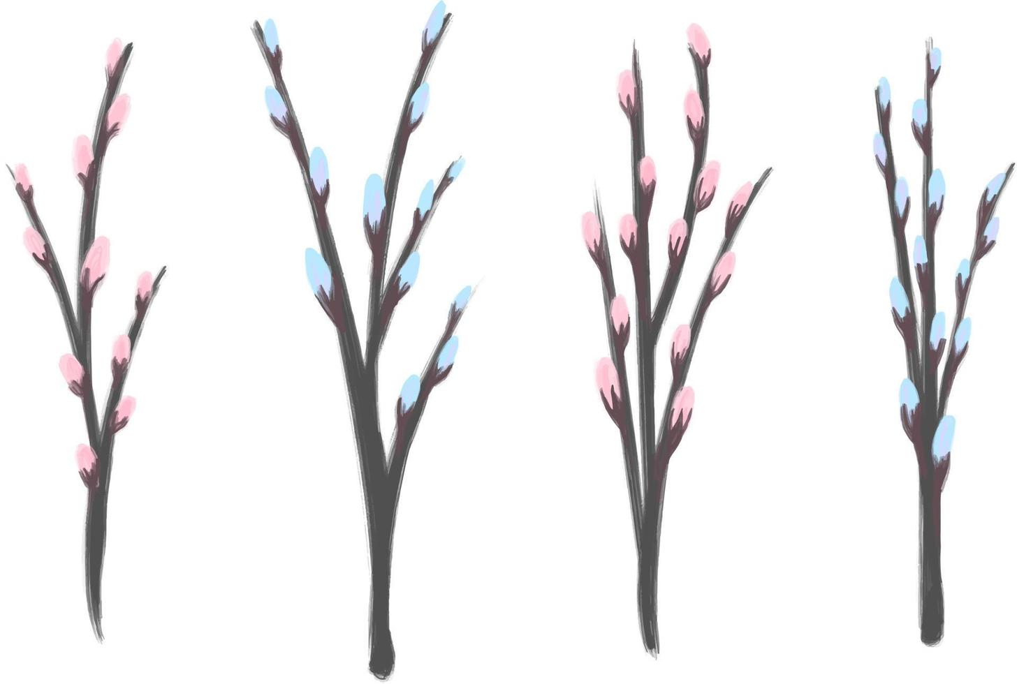 Set with Pussy willow branches for greeting cards, posters, banners, packaging, wedding cards. vector