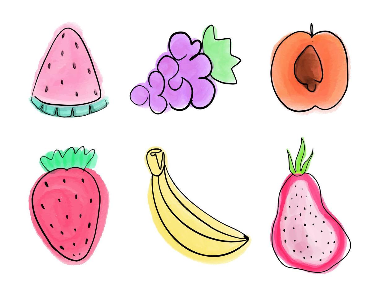 Vector light fruit line watercolor on white background. Fruity watercolor collection with stroke line in trendy style.