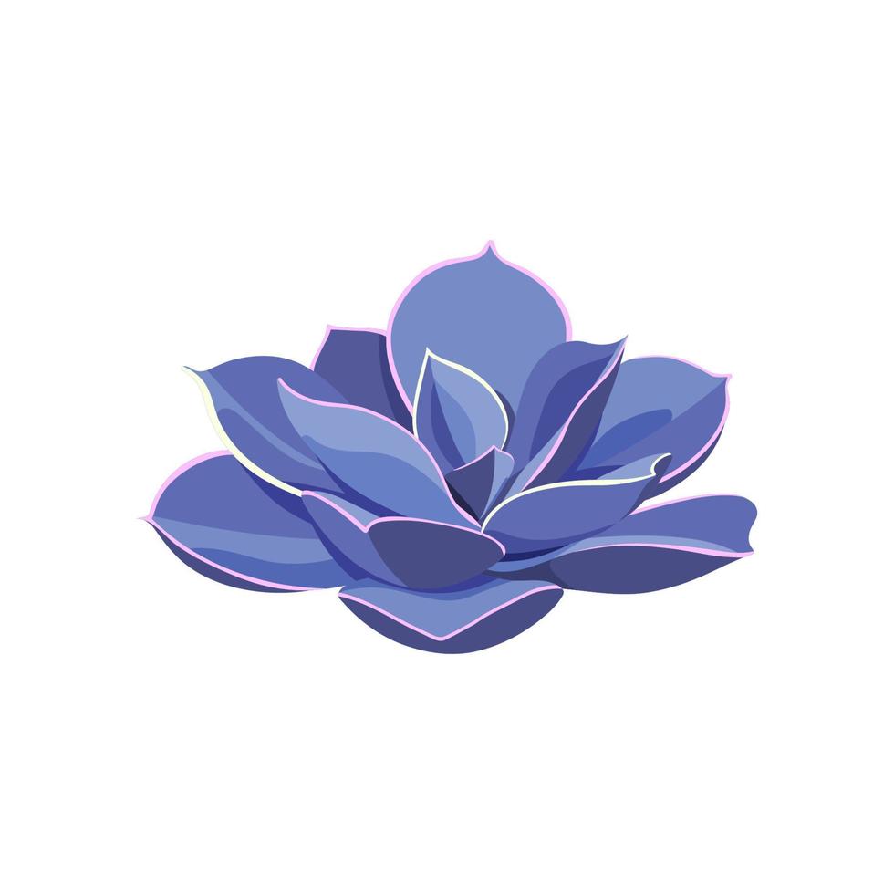 Succulent Echeveria Perle von Nurnberg, house plant. Draw room flower colorful in cartoon style. Logo and icon for print and design. Vector illustration, isolated purple element on white background.
