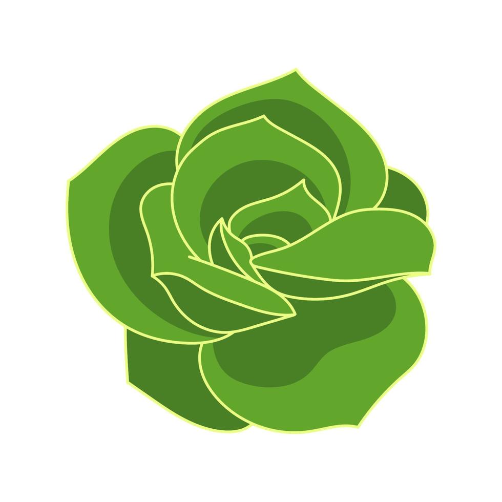 suculenta echeveria hermosa rosa en estilo de dibujos animados. flor del desierto rosa verde. planta de casa para impresión y diseño. ilustración vectorial, elemento aislado en un fondo blanco vector