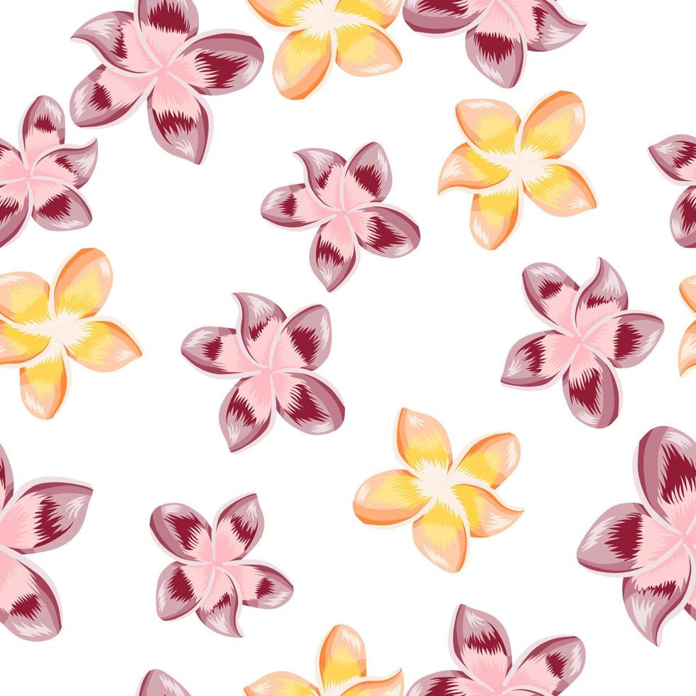 VIntage plumeria flower seamless pattern isolated on white background. vector