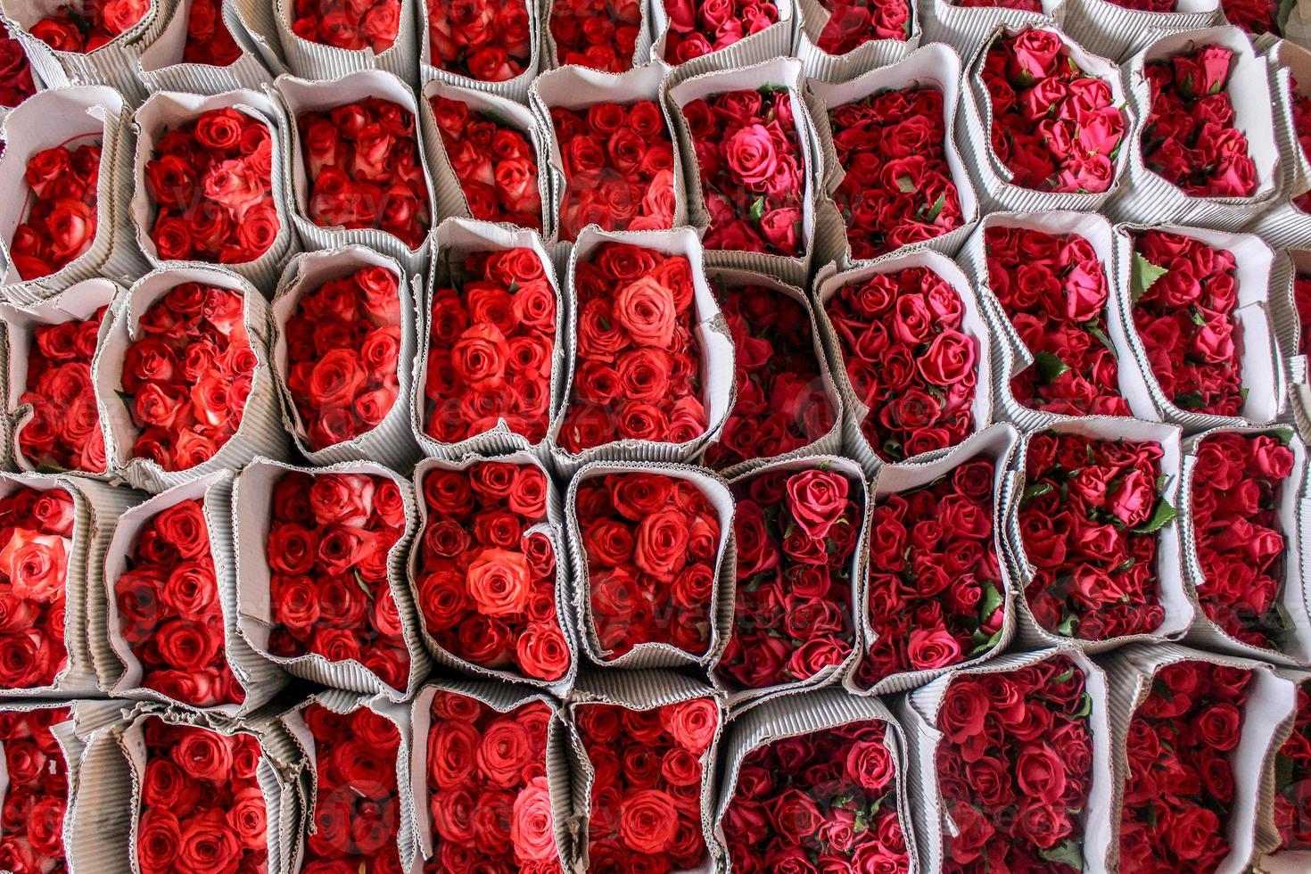 Bundles of Red Roses,kept in a heap. photo