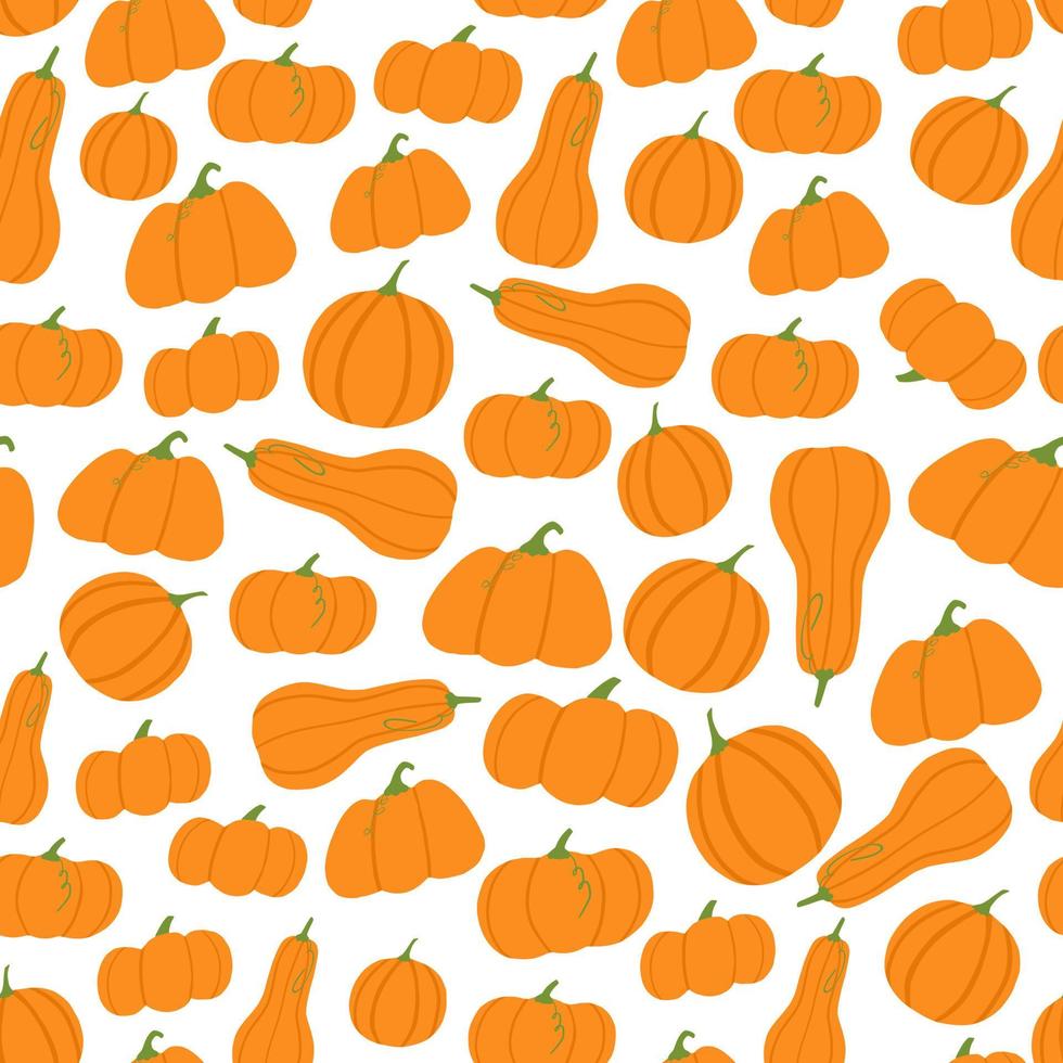 Random isolated contrast orange pumpkins seamless pattern. White background. Food print. vector