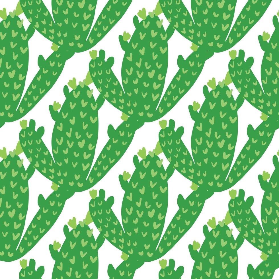 Cactus seamless pattern on white background. Cacti wallpaper. vector