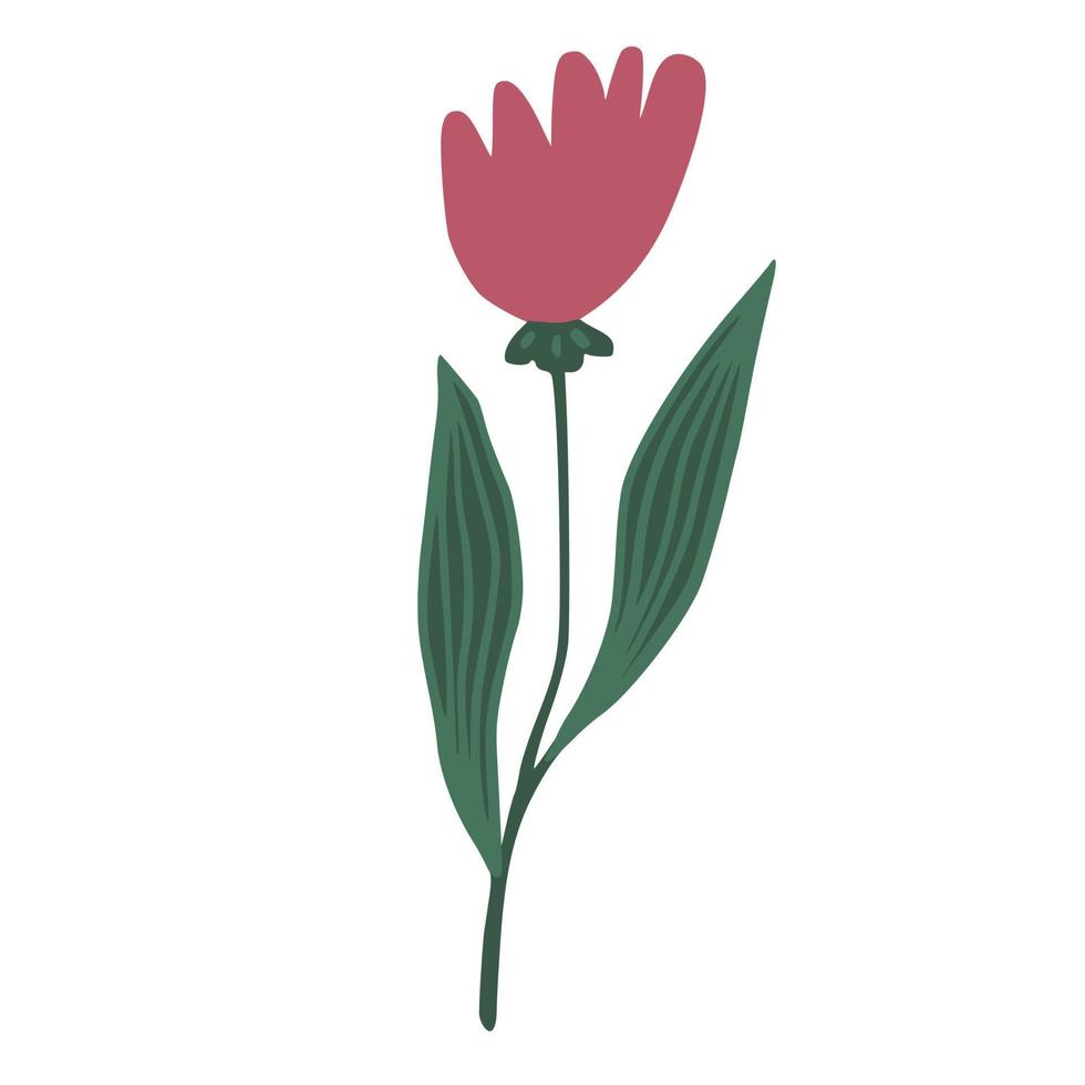 Cute red flower isolated. Hand drawn botanical print vector