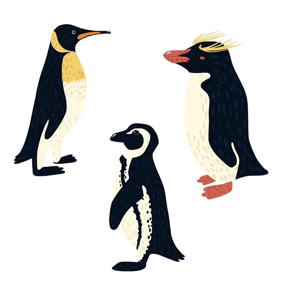 Set penguins isolated on white background. vector