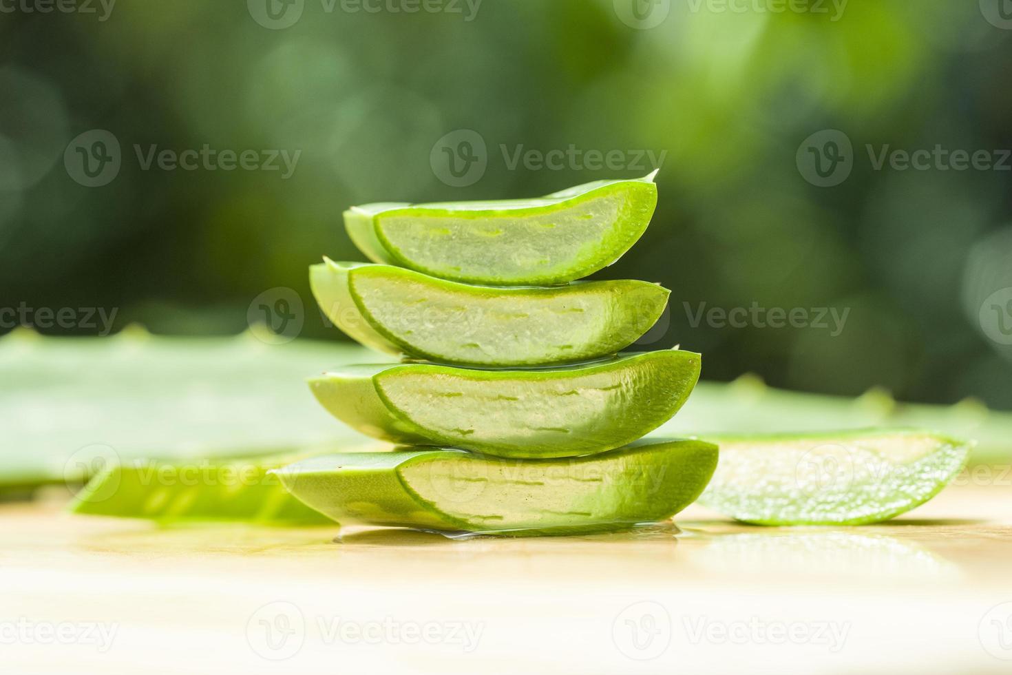 aloe vera fresco foto