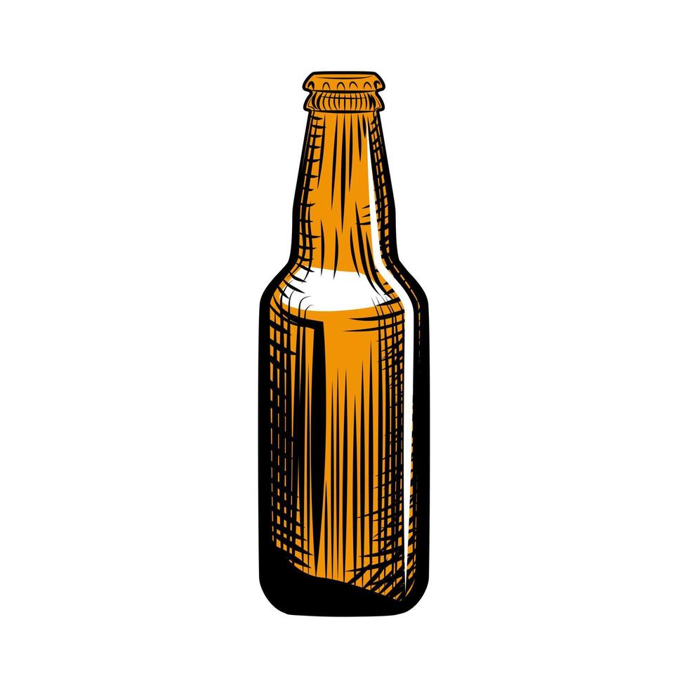 Pilsner beer bottle. Engraving style. Hand drawn illustration isolated vector