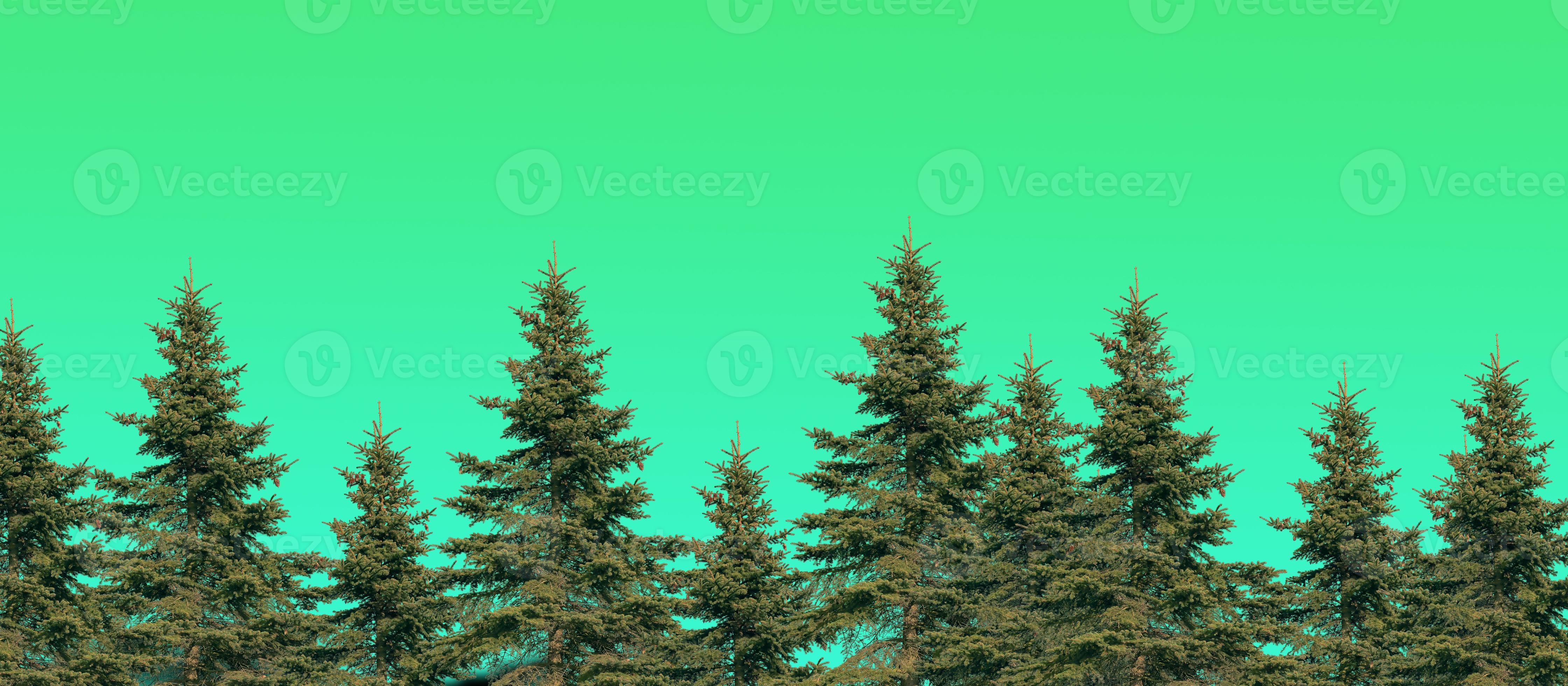 Merry Christmas And Happy New Year Wallpaper. High Quality Background With Christmas Trees 2022-2023 5628372 Stock Photo At Vecteezy