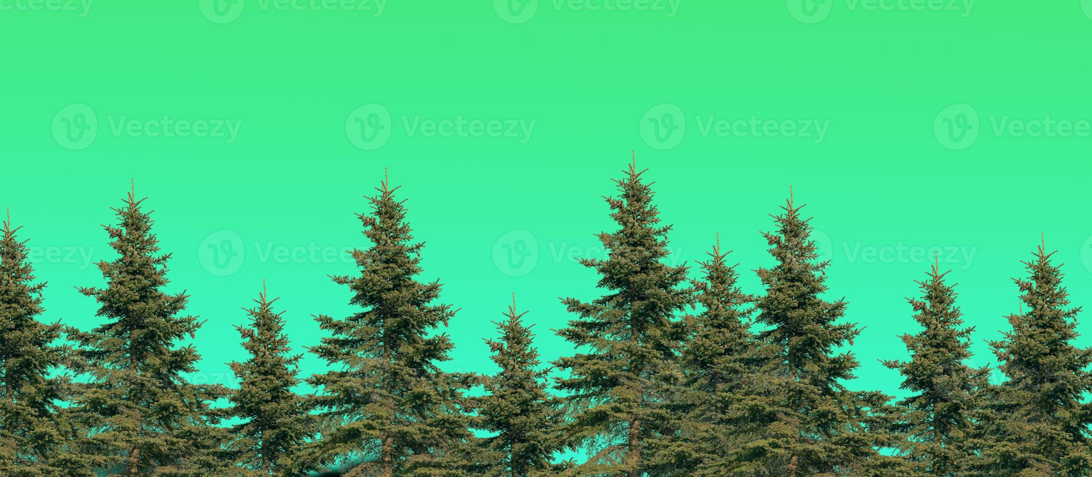 Merry Christmas And Happy New Year Wallpaper. High Quality Background With Christmas Trees 2022-2023 5628372 Stock Photo At Vecteezy