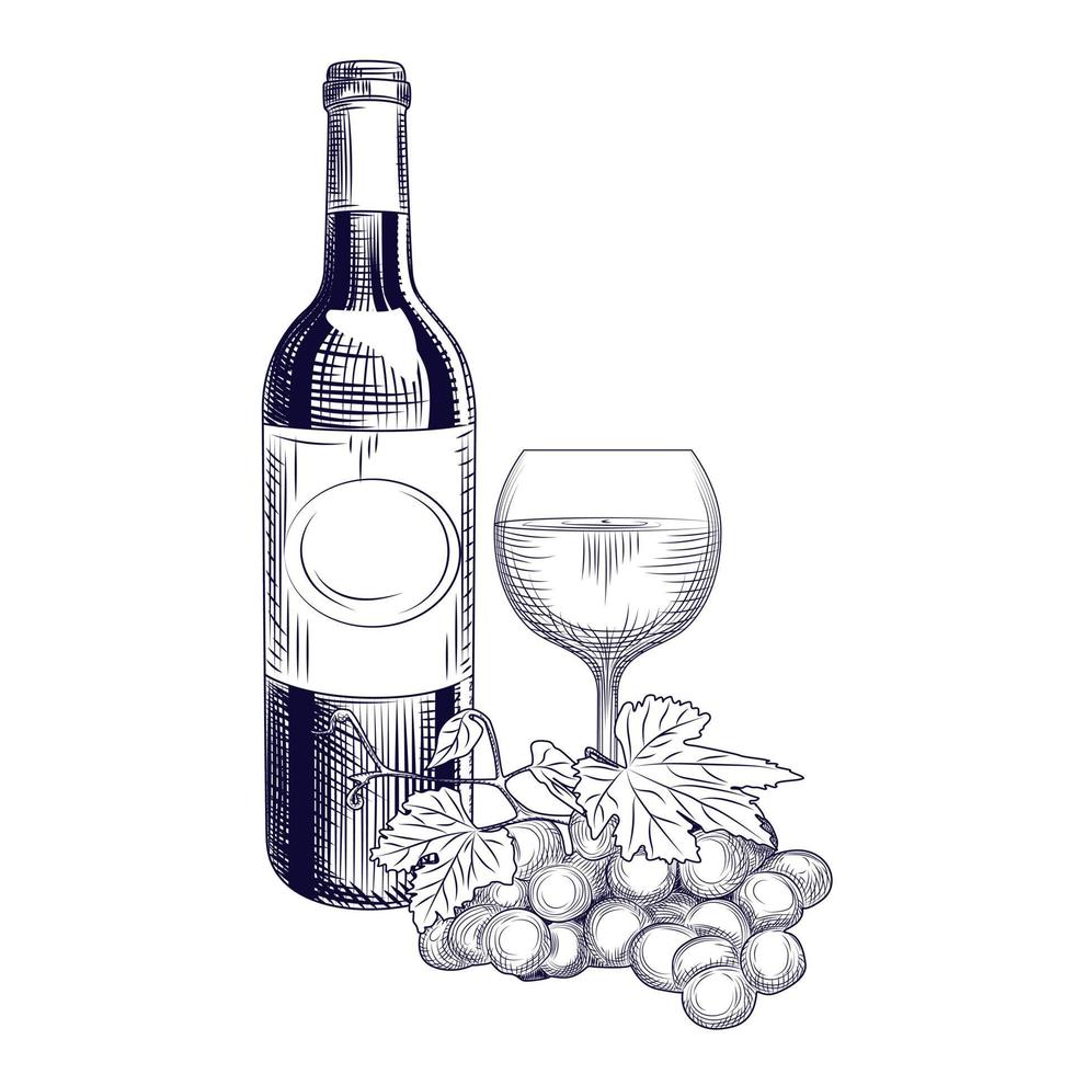 botella de vino dibujada a mano, vidrio y uvas. estilo de grabado. vector