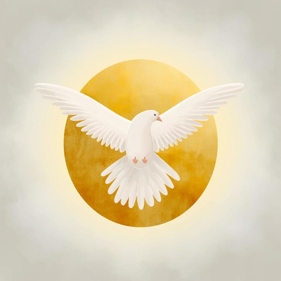 Holy Spirit symbol dove with halo and rays of light symbols of the gifts of the Holy Spirit. vector