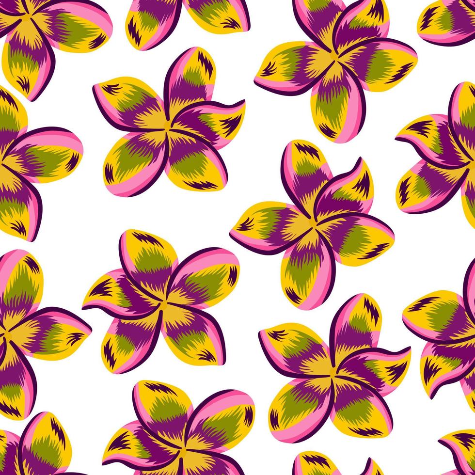 Exotic plumeria seamless pattern isolated on white background. vector