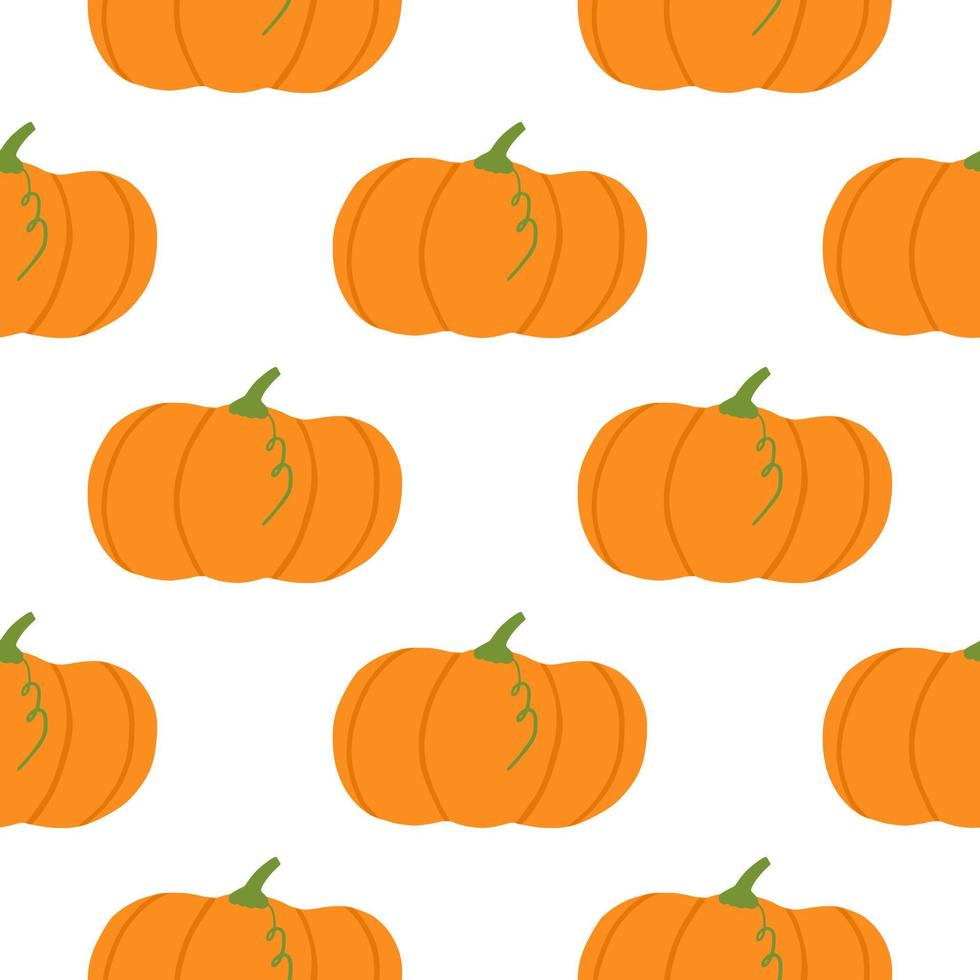 Autumn season seamless pattern with isolated pumpkin elements. White background on fall backdrop. vector